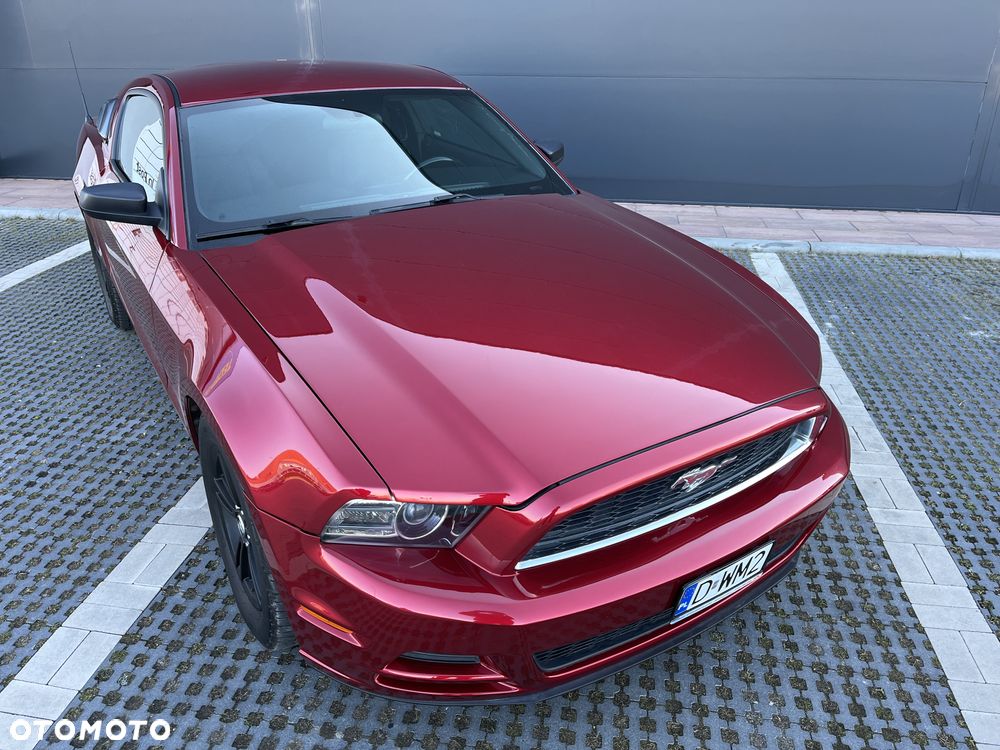Ford Mustang - 15