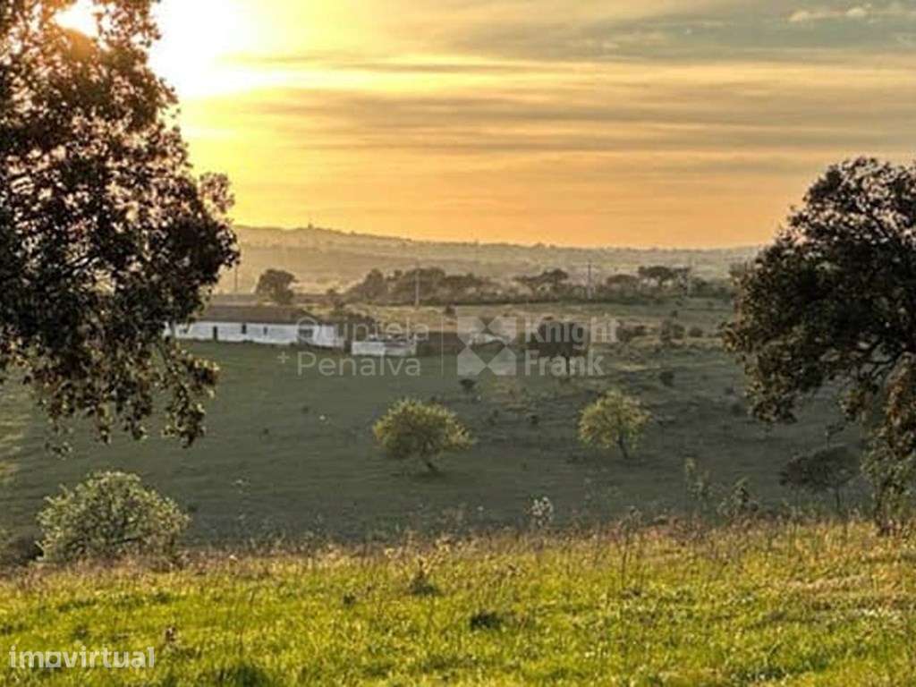 Terreno com projeto aprovado em Santiago Maior, Alandroal - Grande imagem: 5/29