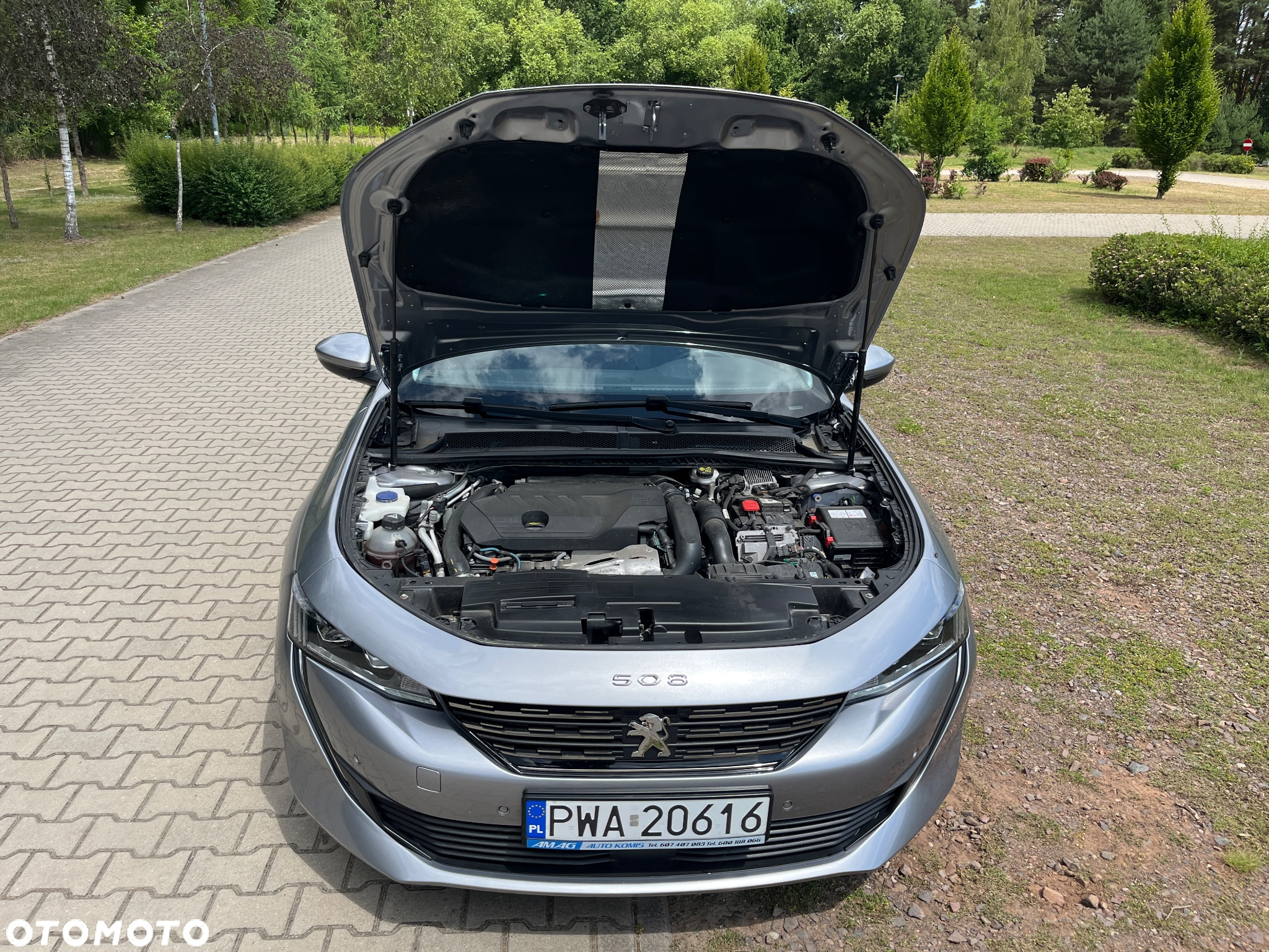 Peugeot 508 1.6 PureTech HYbrid PHEV Allure Pack S&S EAT8 - 19