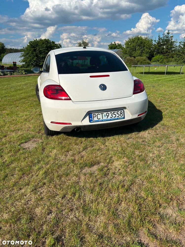 Volkswagen Beetle 1.6 TDI 50s - 4