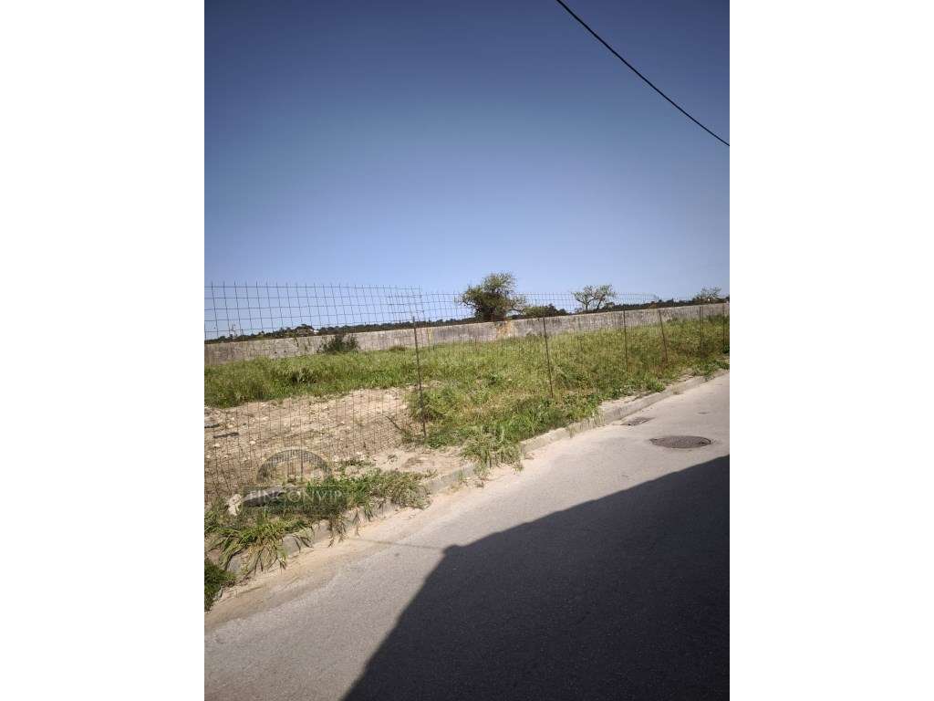 Terreno misto com viabilidade para construçõ de 5 moradias , no Cor... - Grande imagem: 5/13