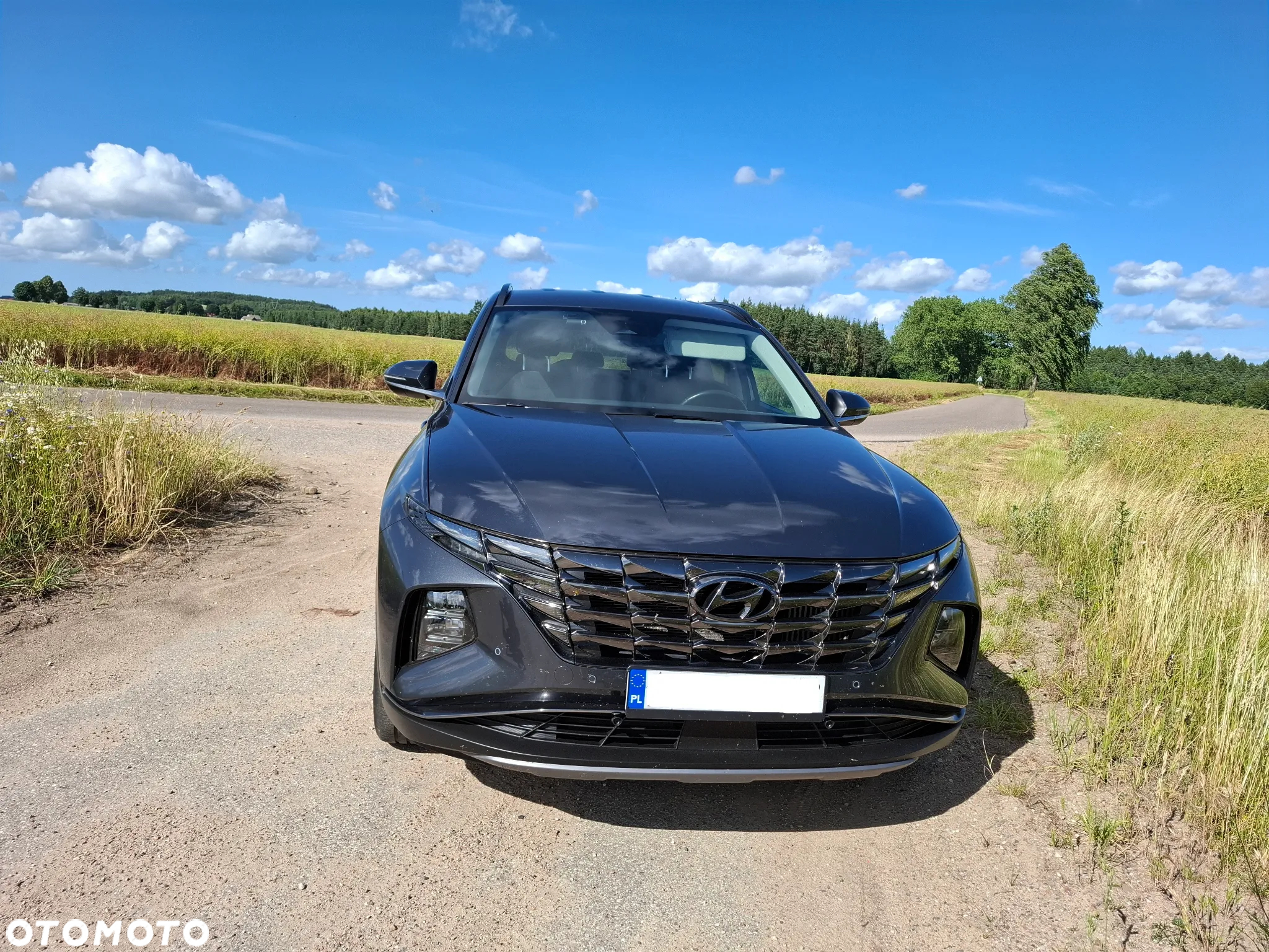 Hyundai Tucson 1.6 T-GDi 48V Executive 4WD DCT - 2
