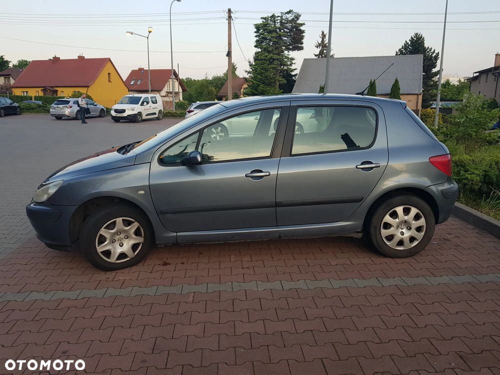 Peugeot 307 1.6 XS - 3