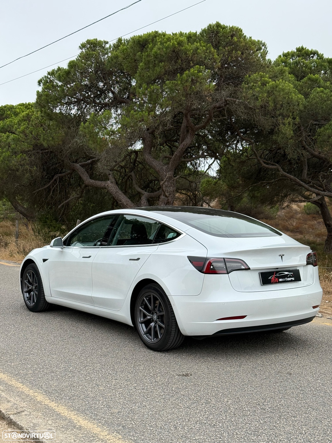 Tesla Model 3 Standard RWD Plus - 7