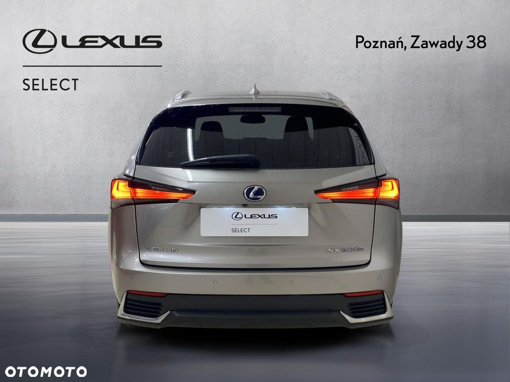 Lexus NX 300h Business Edition AWD - 9