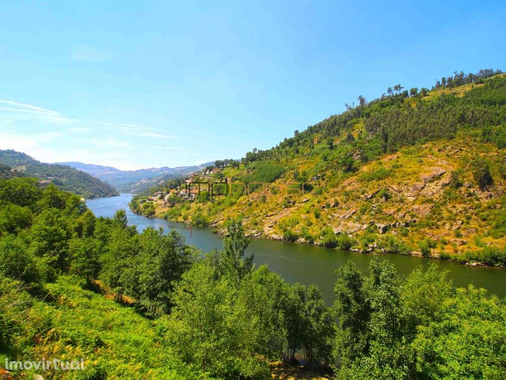 Quinta com frente de Rio Douro - Grande imagem: 2/35