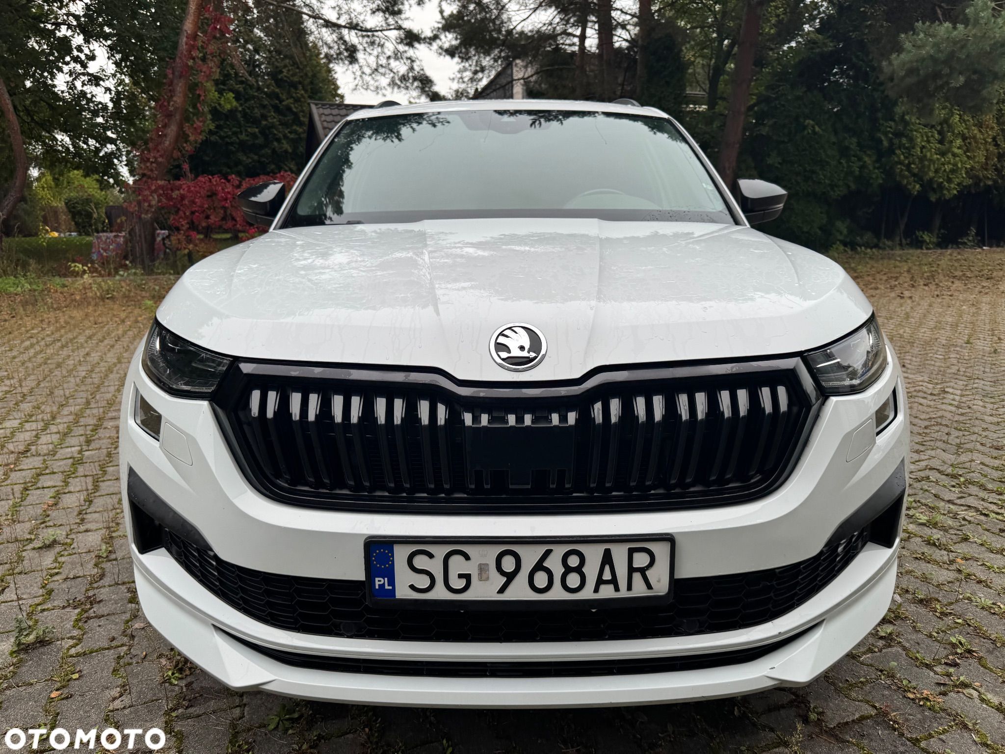 Skoda Kodiaq 2.0 TDI 4x4 Sportline DSG - 1