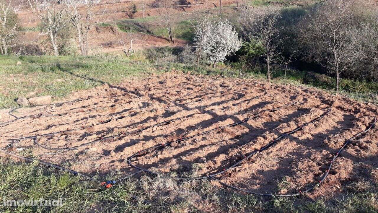 Quinta / Fundão, Pêro Viseu - Grande imagem: 2/10