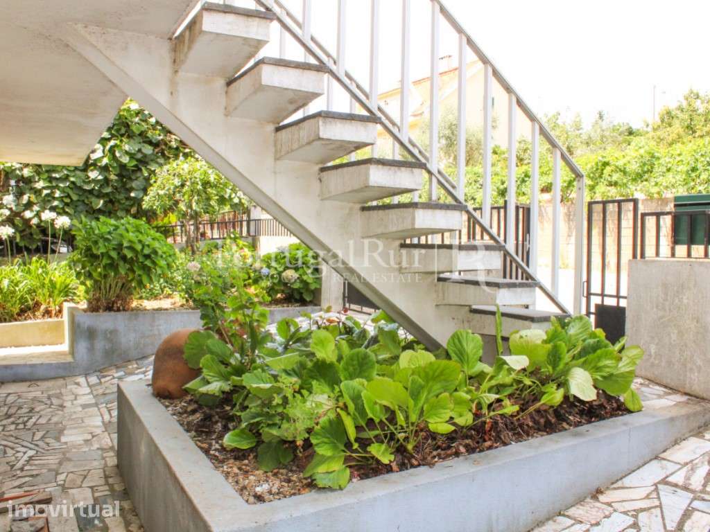 Apartamento T3 com sótão, Garagem e quintal com anexo - Grande imagem: 5/38
