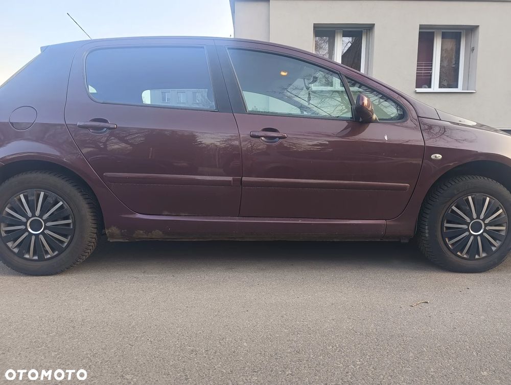 Peugeot 307 1.4 Oxygene - 12