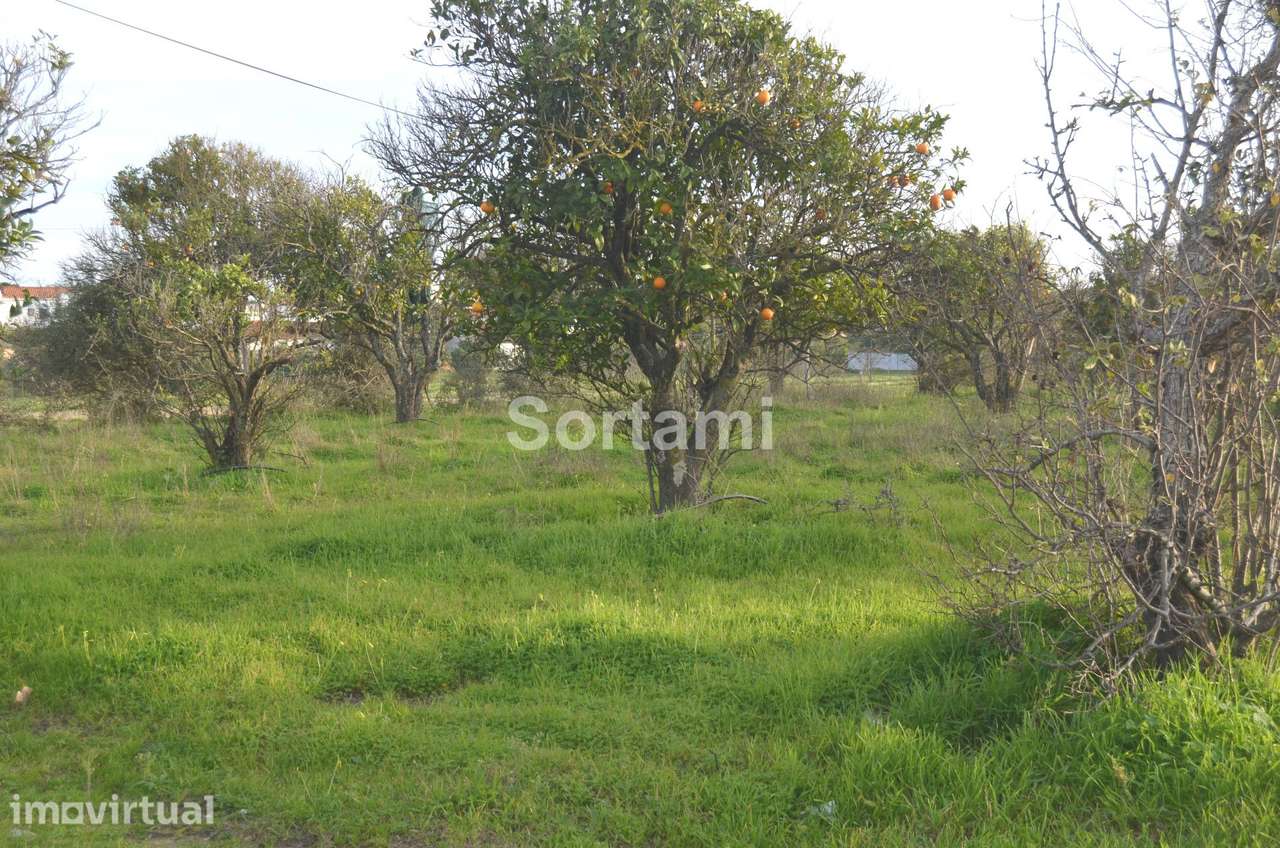 Terreno Rústico  Venda em Albufeira e Olhos de Água,Albufeira - Grande imagem: 2/4