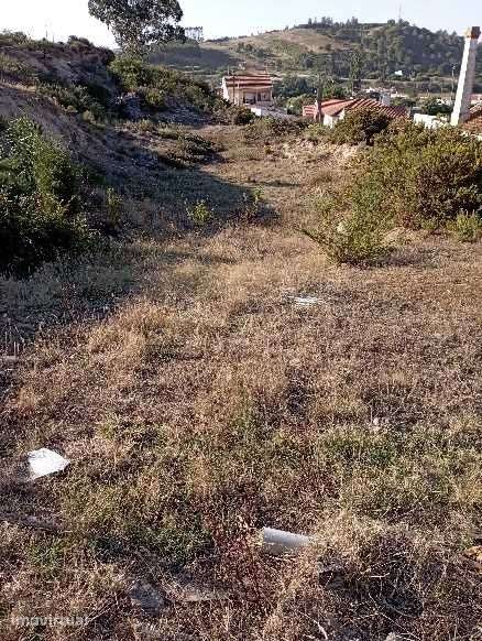 Terreno com 5 lotes - Grande imagem: 2/4