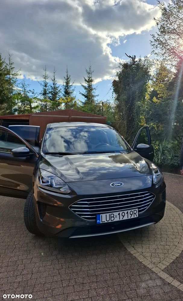 Ford Escape - 1