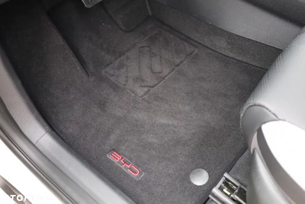 BYD Dolphin Surf Comfort - 18