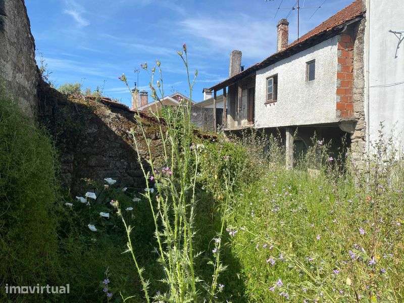 Ruína para reconstrução em Canas de Senhorim - Grande imagem: 5/8