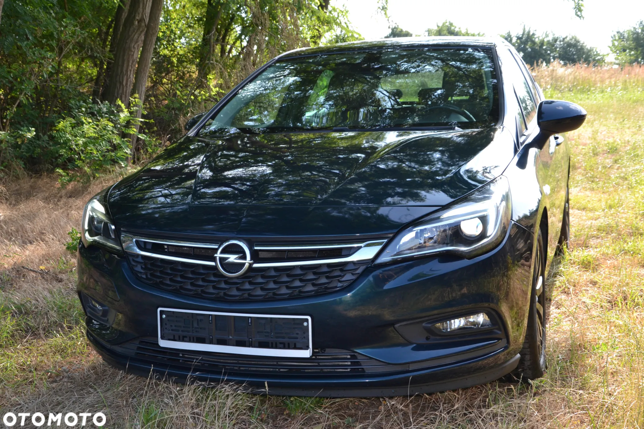 Opel Astra V 1.6 CDTI Elite S&S - 17