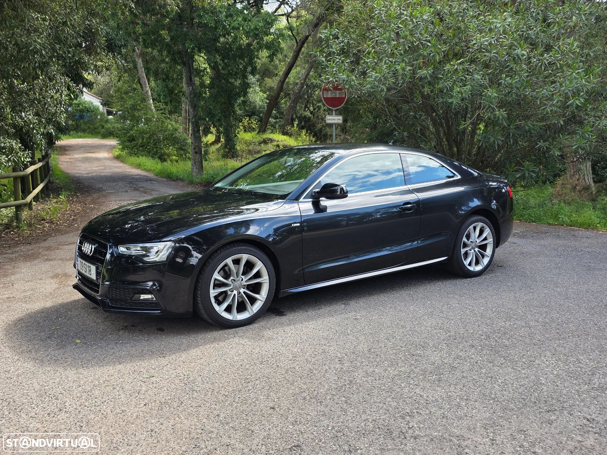 Audi A5 2.0 TDI Multitronic S-line - 1