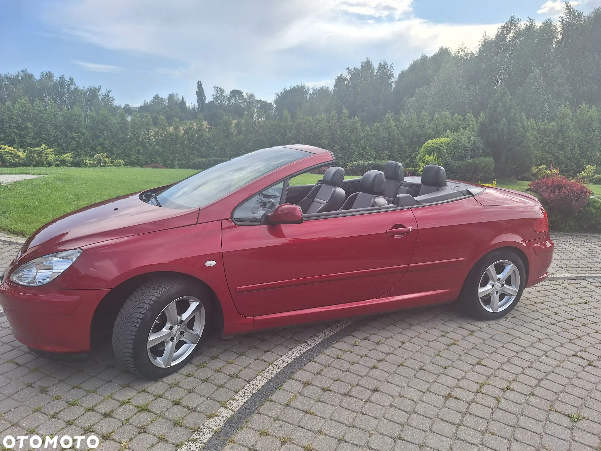 Peugeot 307 CC 2.0 - 3