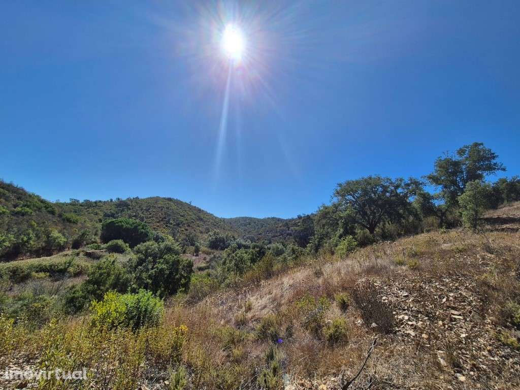 Terreno Rústico - Grande imagem: 3/23