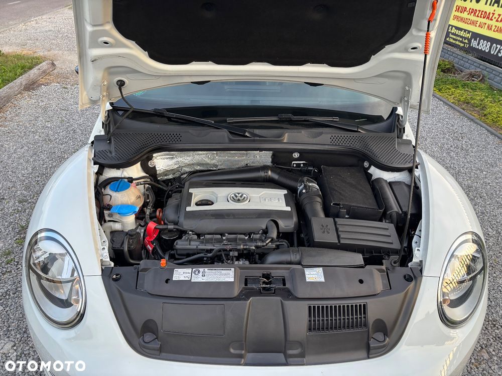 Volkswagen Beetle - 16
