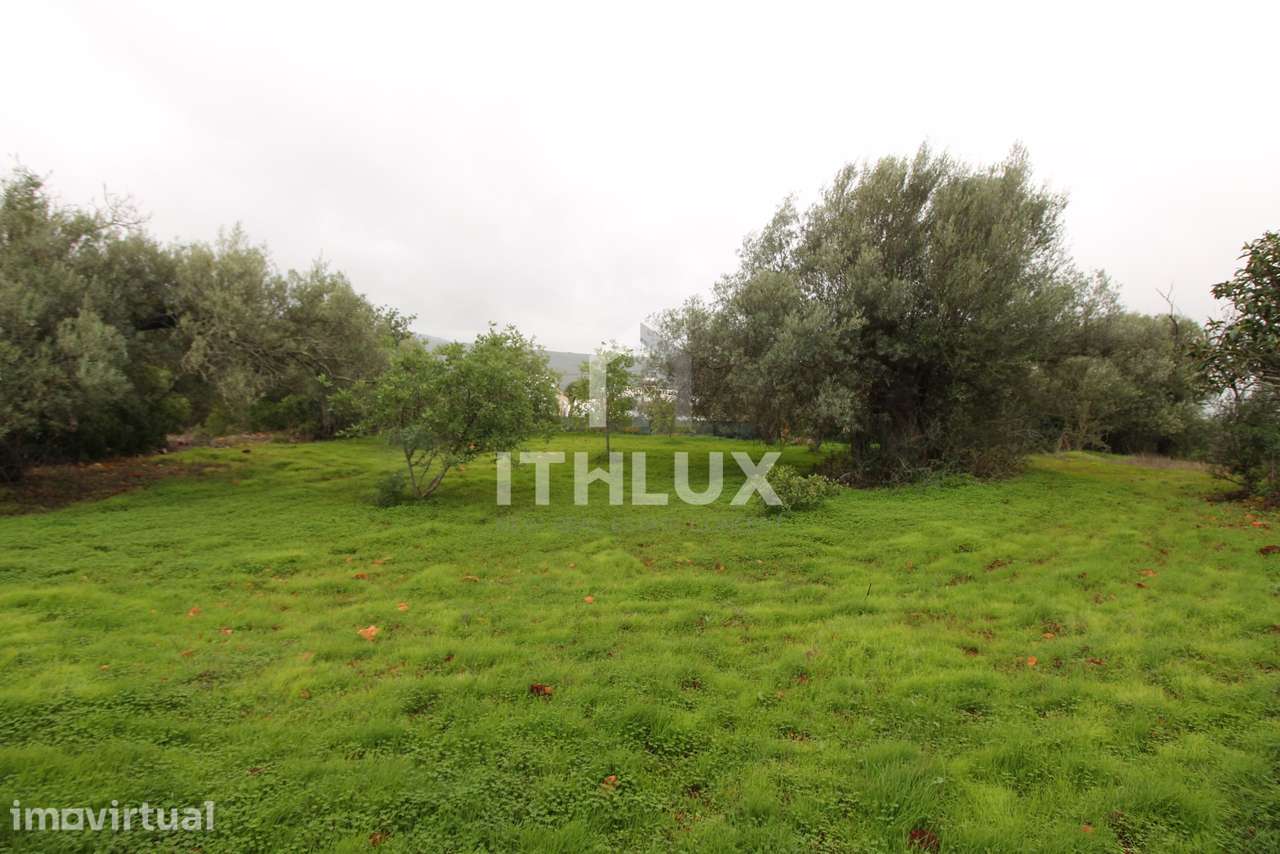 Terreno urbano em Loulé, Tôr,  Loulé - Algarve - Grande imagem: 4/11