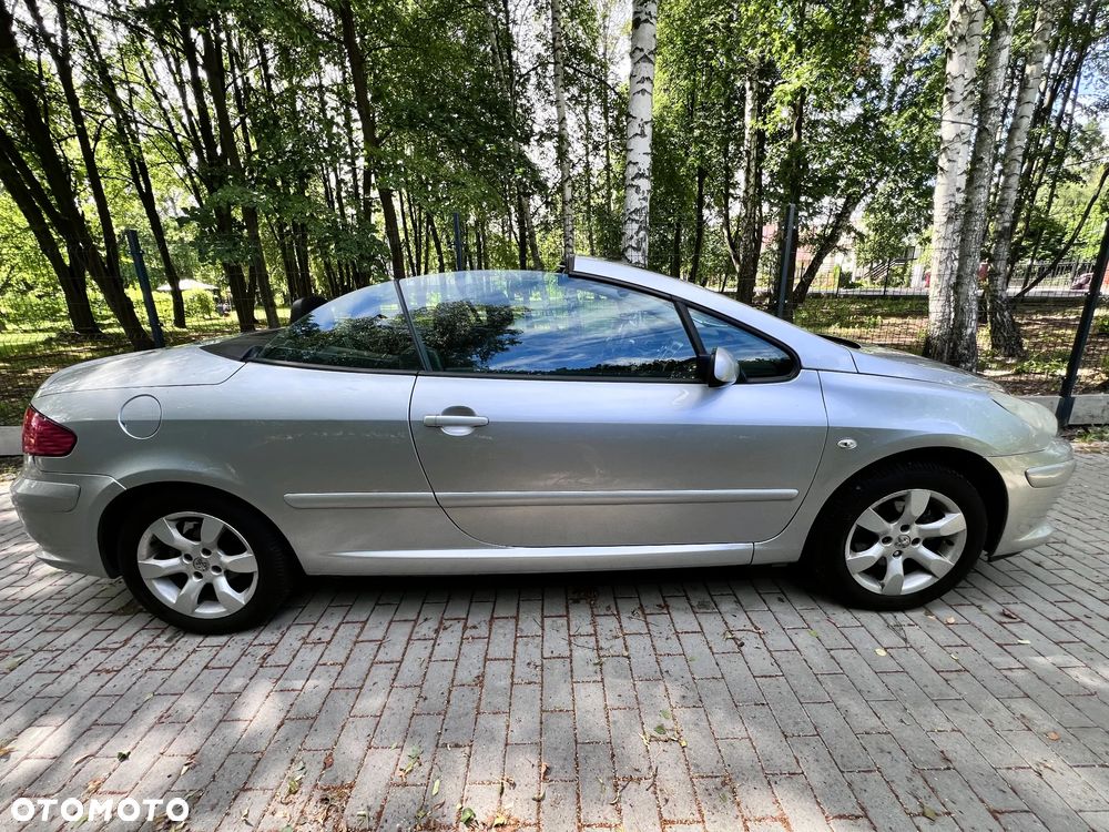 Peugeot 307 - 33