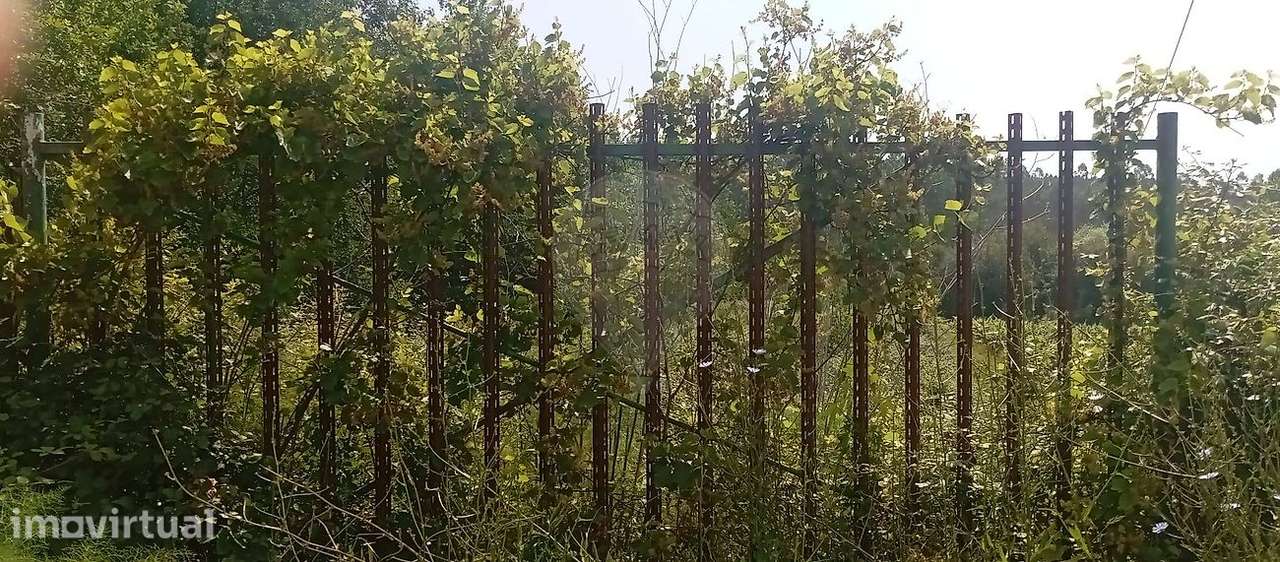 Terreno  para venda - Grande imagem: 2/6