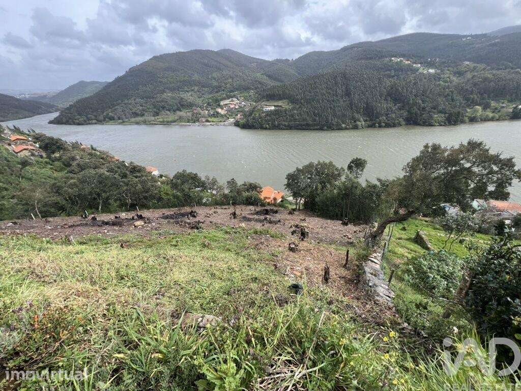 Terreno em Sebolido - Grande imagem: 2/12