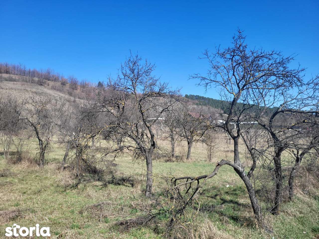 Parcele de vânzare în Tinăud Bihor - Imagine principală: 5/8