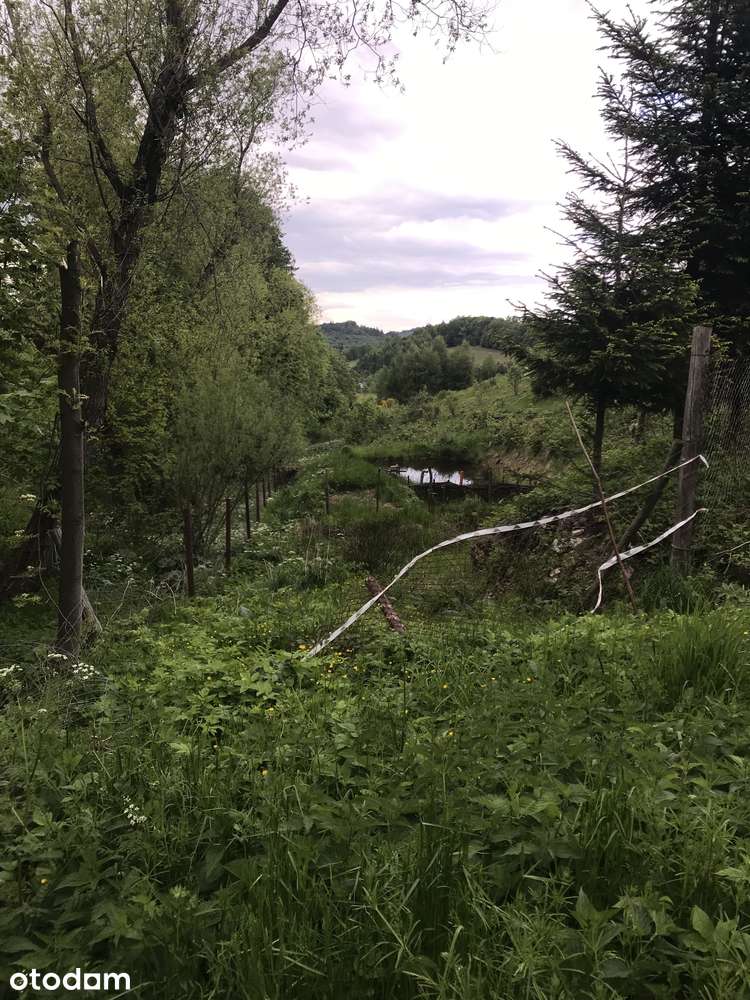 Działka na dom lub domek - Pełny obrazek: 5/10