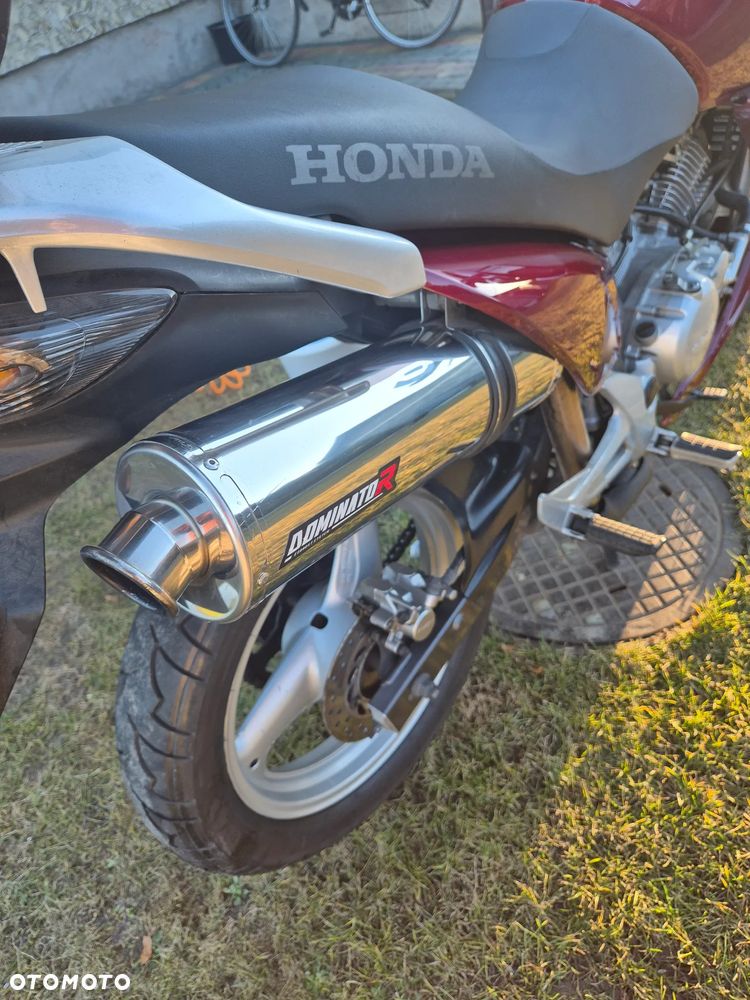 Honda Varadero - 3