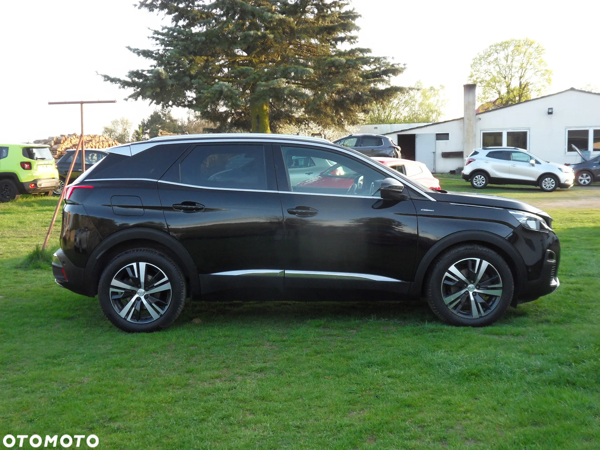 Peugeot 3008 BlueHDi 150 Stop & Start Active Business-Paket - 6
