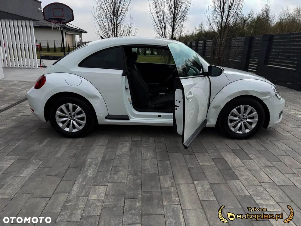 Volkswagen Beetle - 16