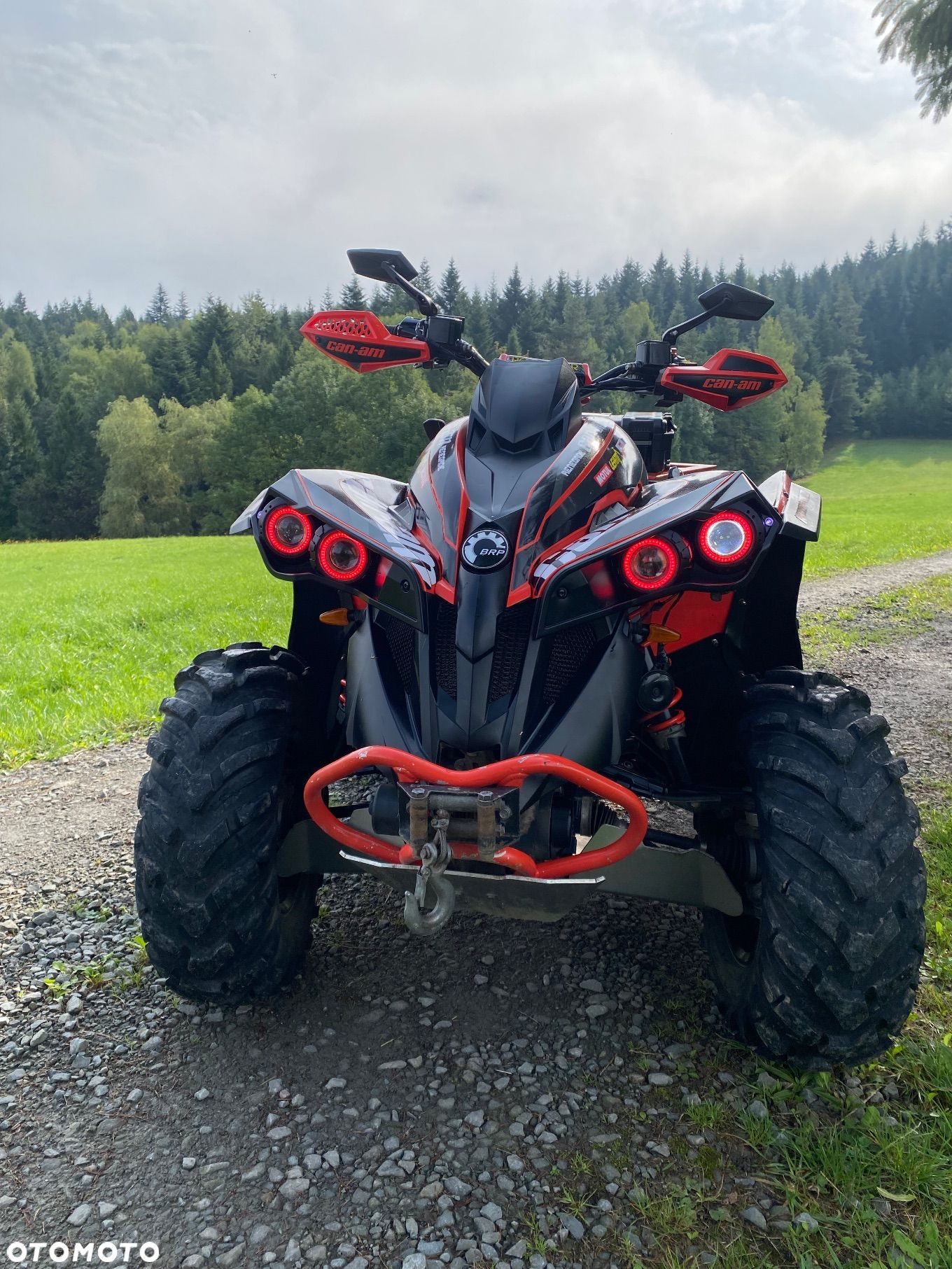 Can-Am Renegade