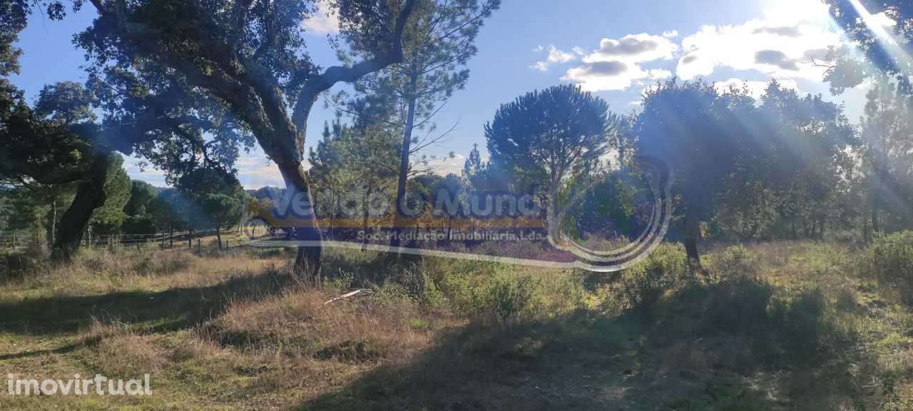 Terreno em Mora (MOR088) - Grande imagem: 2/5