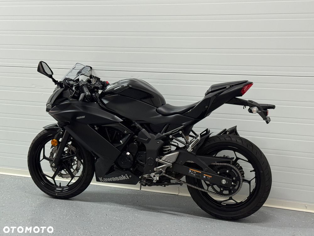 Kawasaki Ninja - 17