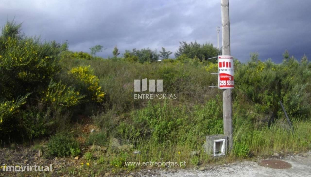 Venda Lote de Terreno, Paços, Sabrosa - Grande imagem: 2/30