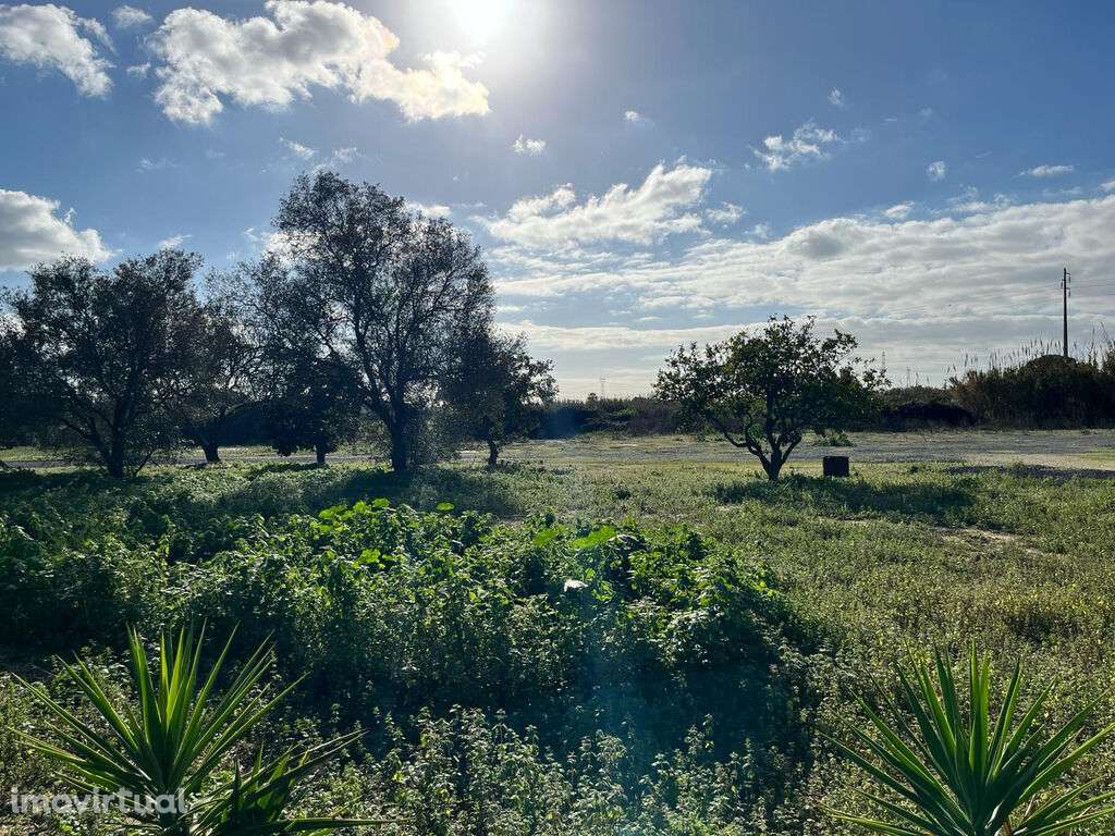 Venda Terreno - Grande imagem: 3/20