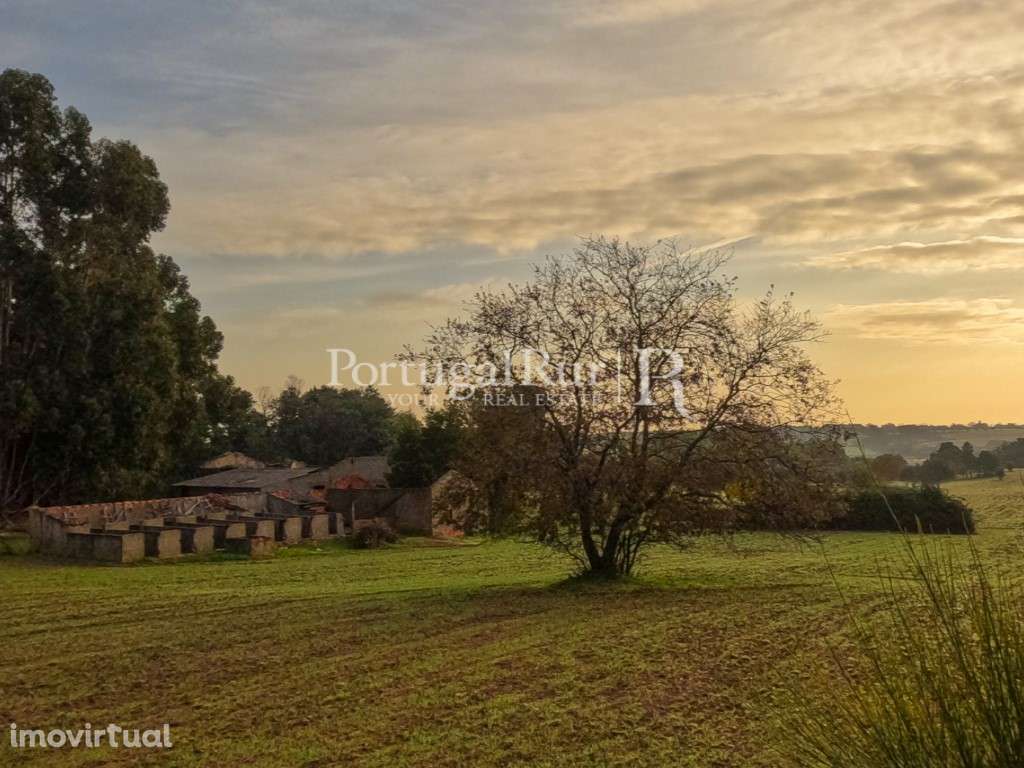 Quinta com 5 hectares e ruína - Grande imagem: 3/20