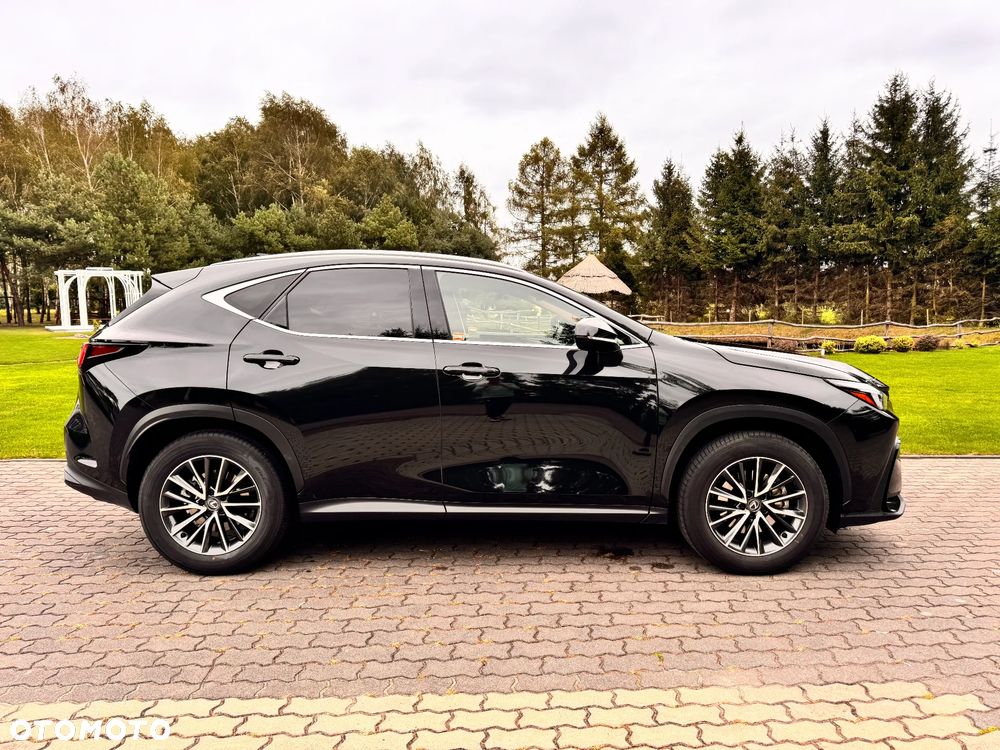 Lexus NX 350h Prestige 2WD - 8