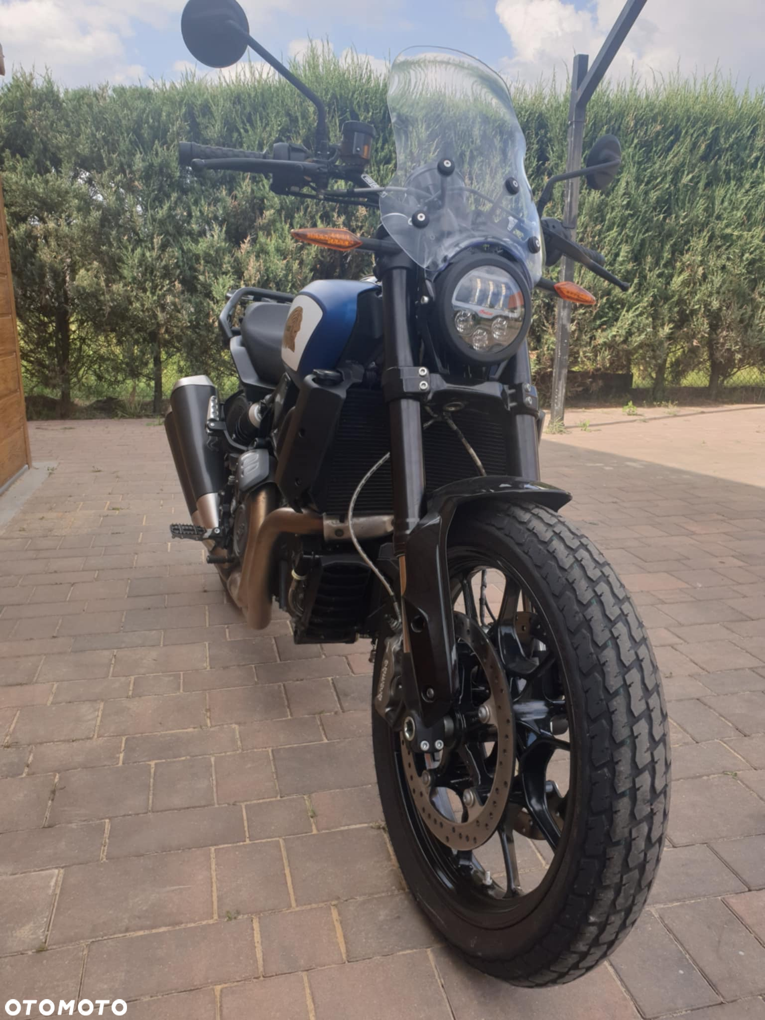 Indian FTR - 6