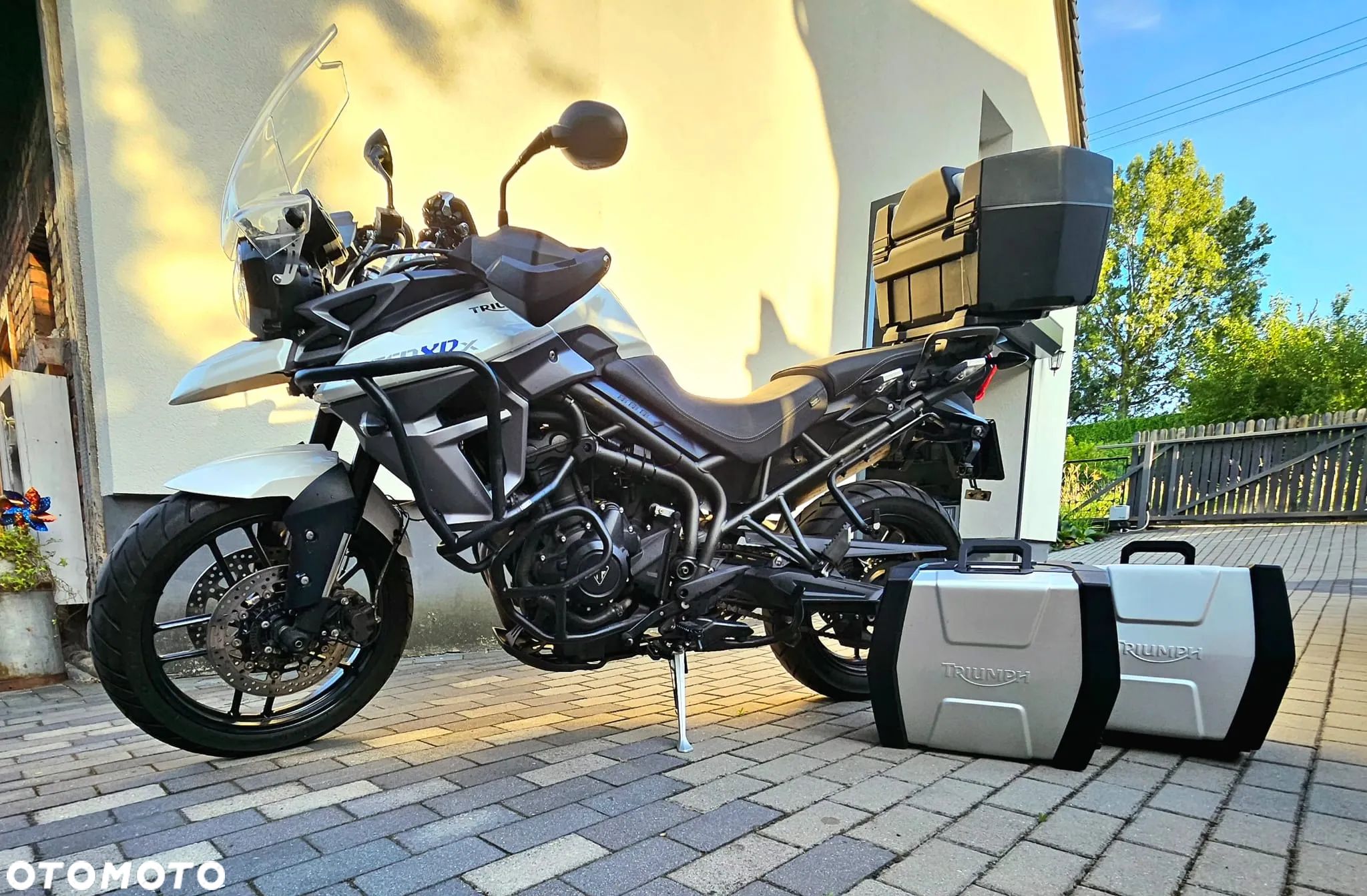 Triumph Tiger - 1