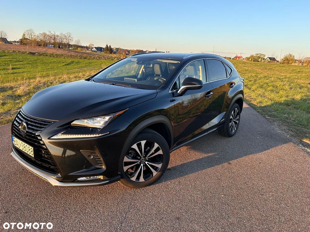 Lexus NX 300h F Impression AWD - 4