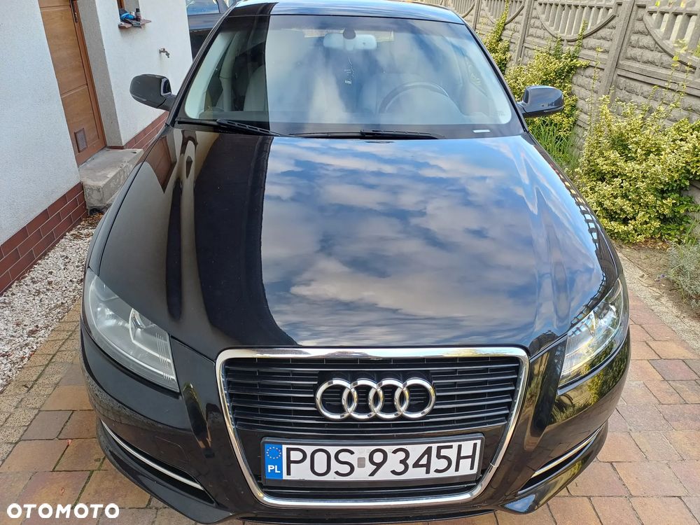 Audi A3 Sportback 1.6 TDI 102g DPF - 1