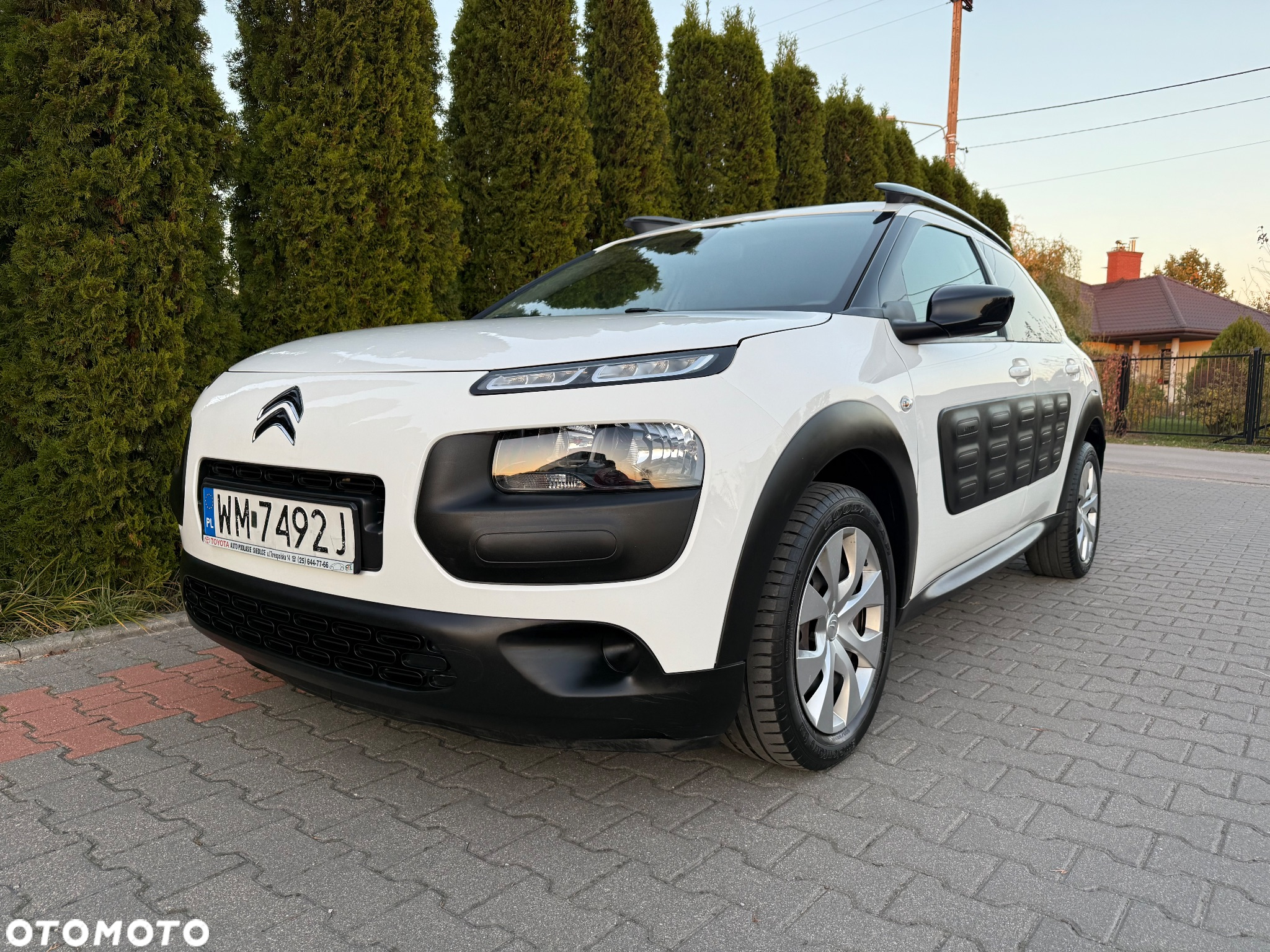 Citroën C4 Cactus 1.2 PureTech MoreLife - 10