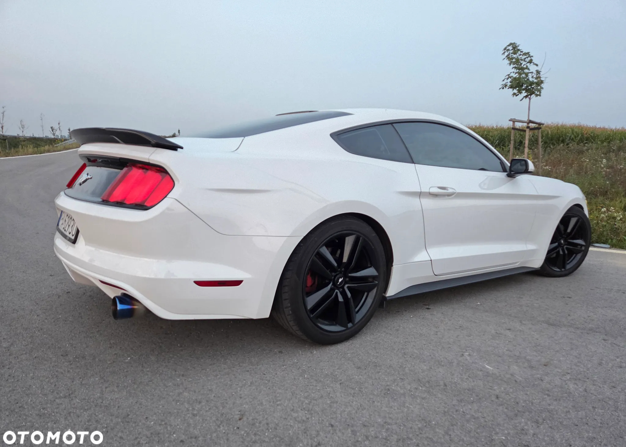 Ford Mustang 3.7 V6 - 7