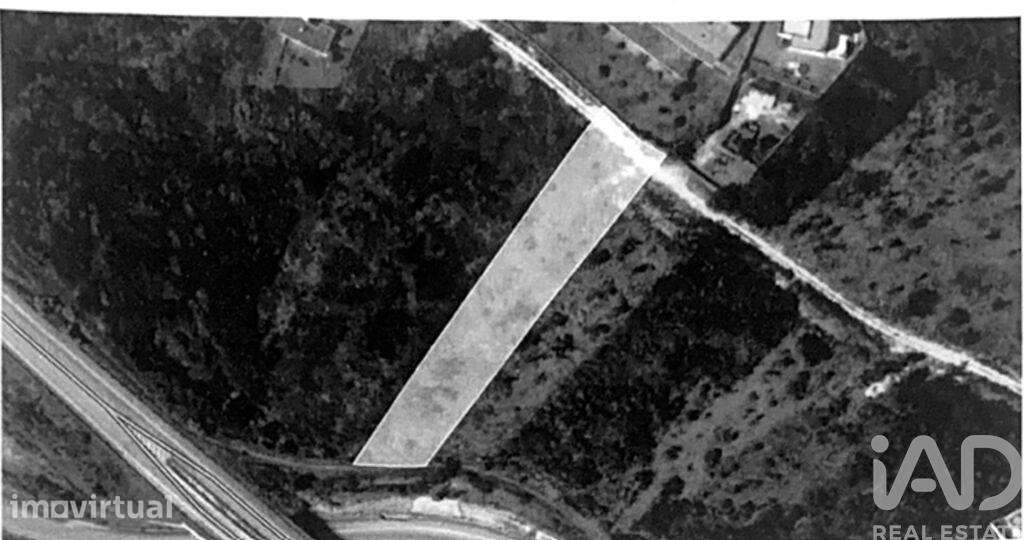 Terreno Agrícola em Pombal - Grande imagem: 2/12