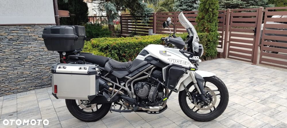 Triumph Tiger