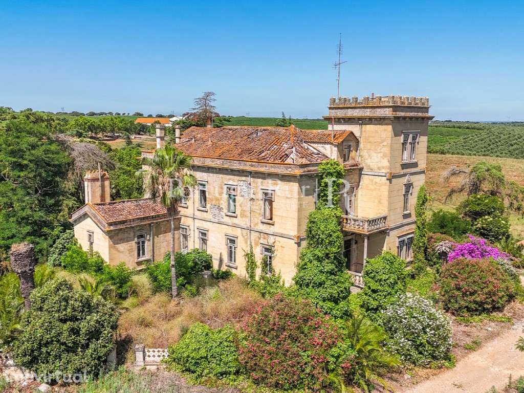 Solar Histórico com Vinha e Potencial Turístico - Grande imagem: 3/60