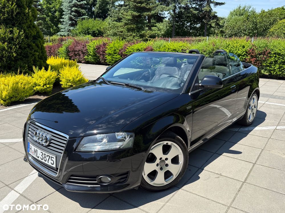 Audi A3 Cabrio 1.6 Ambition - 29
